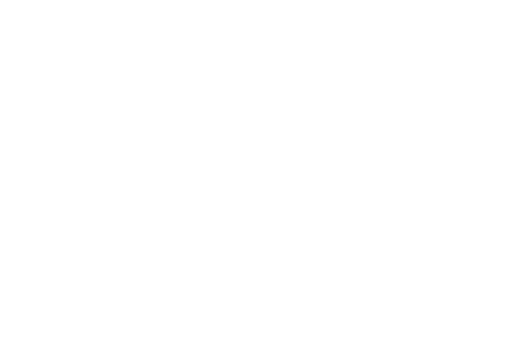 BCG Logo